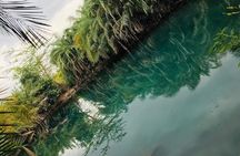 Kikuletwa Springs Private Swimming Activity Adventure