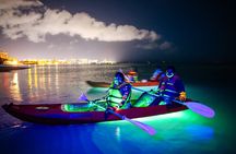 Glow Through the Night with LED Kayak Adventure in Aruba