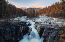 Athabasca Falls/Abraham,Sunwapta Falls,Icefield & Peyto Lake Tour