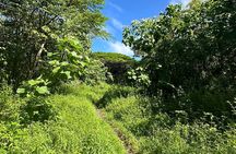 Secret Tide Pool Hike - Jungle & Coast - Private