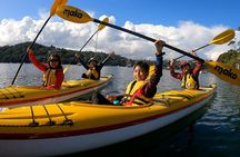 1 Hour Rental in a Deluxe Double Sea Kayak