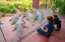 Crocoparc & Tree-Climbing Goats Morning Tour