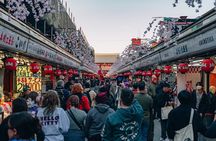 Tokyo Early Morning Tour Asakusa Meiji Shrine and Tsukiji Market