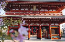 Tokyo Early Bird Tour Asakusa Meiji Jingu and Tsukiji Market