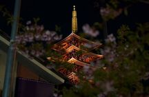 Asakusa Night Evening Walking Tour with English-Speaking Guide