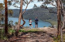 Quad Biking, Koalas and Kangaroos - Private Tour