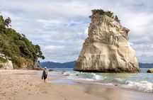  Cathedral Cove & Hot water beach - 1 Day Tour: PRIVATE TOUR 