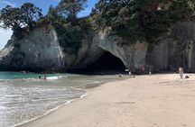  Cathedral Cove & Hot water beach - 1 Day Tour: PRIVATE TOUR 