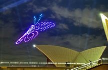 90 Minutes Vivid Cruise Festival