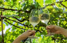 Osaka Wine Walking Tour: Japan’s Oldest Winery Historic town