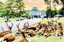 Kyoto/Osaka: Kyoto and Nara Customized Private Guided Tour