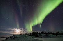 Rovaniemi Northern Lights and Photography Tour Small group