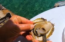 Orebic to AIRPORT DU luxury transfer with WINE tasting INCLUDED