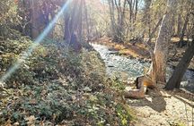 Sedona Sightseeing Tour