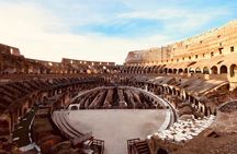 Colosseum Express with Gladiator's Arena Access Group Tour