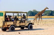 3 hrs Game drive in Chobe National Park (Leon Safaris Gold)