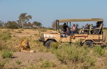 3 hrs Game drive in Chobe National Park (Leon Safaris Gold)