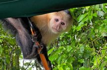 From Riu Playa Blanca or Decameron - Monkey Islands & Old Town