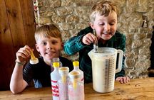 1 Hour Lamb Bottle Feeding Experience on Working Farm