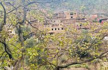 Ourika Valley Waterfalls & Lunch Atlas Mountains Experience 