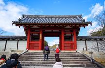 Kyoto UNESCO World Heritage Site Private Tour
