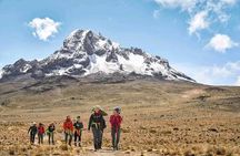 Exclusive 8-Day Lemosho: Kilimanjaro's Premium Summit Adventure