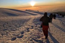 Exclusive 8-Day Lemosho: Kilimanjaro's Premium Summit Adventure