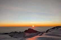 Exclusive 8-Day Lemosho: Kilimanjaro's Premium Summit Adventure