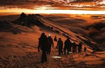 Exclusive 8-Day Lemosho: Kilimanjaro's Premium Summit Adventure