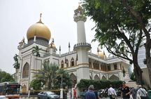 Singapore Essence Heritge Tour with Car Charter ( 4 hours tour)