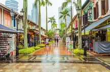 Singapore Essence Heritge Tour with Car Charter ( 4 hours tour)