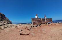 Private Tour : Cape of Good Hope,Penguin Colony& Muizenberg Beach