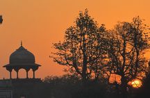 Best of 8 hrs Private old & New Delhi City Tour 