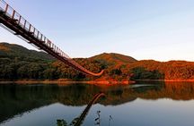 Ultimate Korea DMZ Tour from Seoul (Gondola & Suspension Bridge)