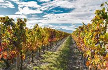 La Rioja A Journey Through Vineyards and Tradition 