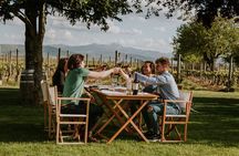 La Rioja A Journey Through Vineyards and Tradition 