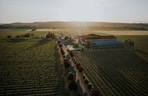La Rioja A Journey Through Vineyards and Tradition 