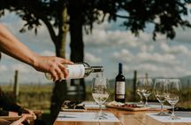 La Rioja A Journey Through Vineyards and Tradition 