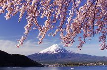 Tokyo: Mount Fuji One Day Trip Lake Kawaguchi & Lake Yamanaka