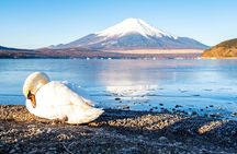 Tokyo: Mount Fuji One Day Trip Lake Kawaguchi & Lake Yamanaka