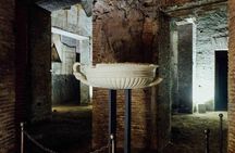 Domus Aurea Skip the Line Ticket Guided Tour