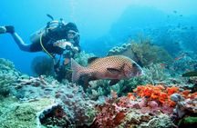 Nusa Penida Island West Snorkeling With Manta Rays