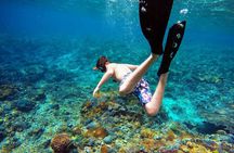 Nusa Penida Island West Snorkeling With Manta Rays