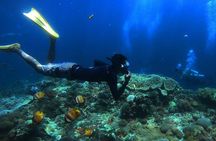 Nusa Penida Island West Snorkeling With Manta Rays