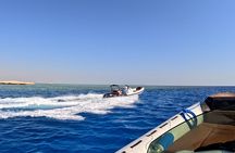 Private Dolphin Watching Tour With Snorkeling & Orange Bay Island