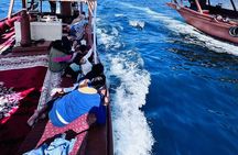 Dubai to Khasab Oman Telegraph Island Norway of Arabia