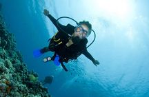 Hurghada : Diving & Snorkeling Cruise Tour w Lunch & Drinks