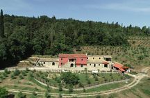 Corfu Private Tastings and Beach Tour