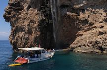 Sea Turtle Swimming And Waterfal Boat Trip