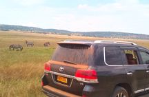 One Day Safari in Akagera National Park
